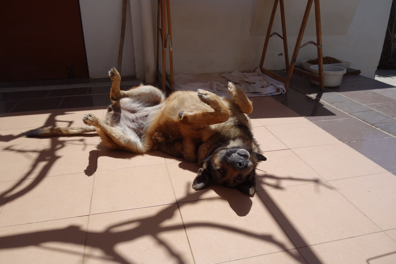 Foto Teneriffa (18)